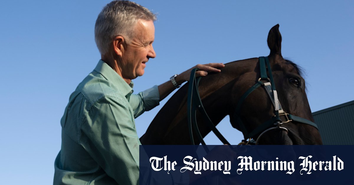 Smith stable to high riding with several chances in Nowra