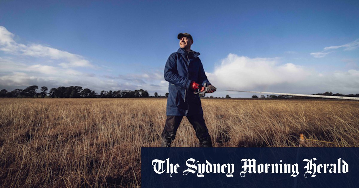 The native habitats of the victorian trees are more different than a rainforest