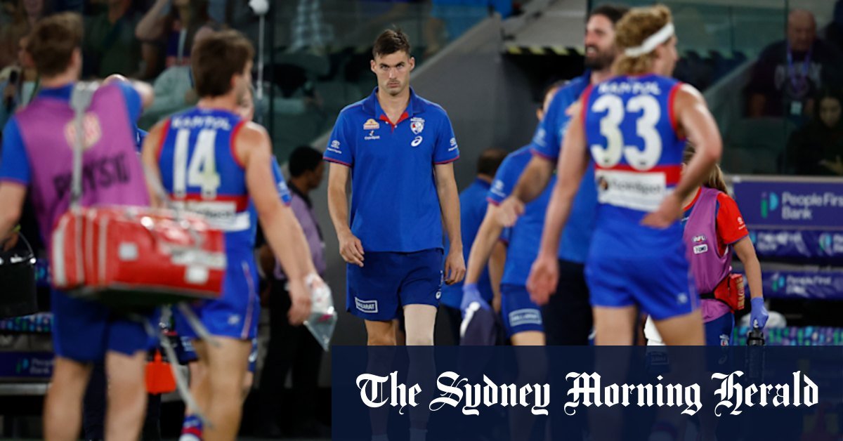 Bull Western Bulldogs "Sam Darcy back from kingdom in-life wounds kilda