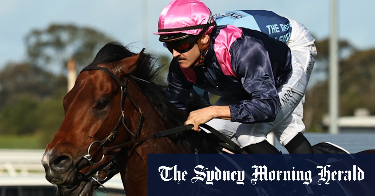 Tips and race-by-race of rose by rosehill on Saturdays
