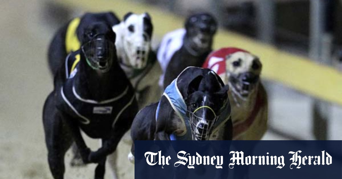 Rough race industry under pressure