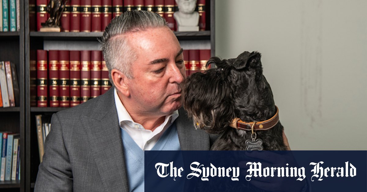 Who is the dog in a divorce? Family League Legis Trump Changes the new rules for separate couples