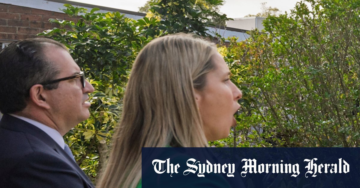 The consider family to slip $ 2.5 m Rosebery Rosebery after auction win