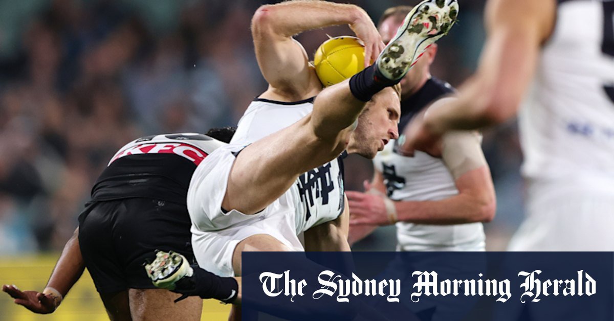 Nick Haynes Michael Voss After Carlton Blues '50 -Pnt Ports for Power Port
