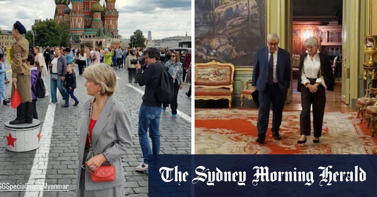 Julie bishop is going to fly "