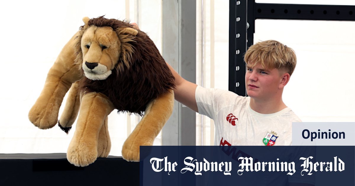 The pom you want to hate it will be a star for the lions