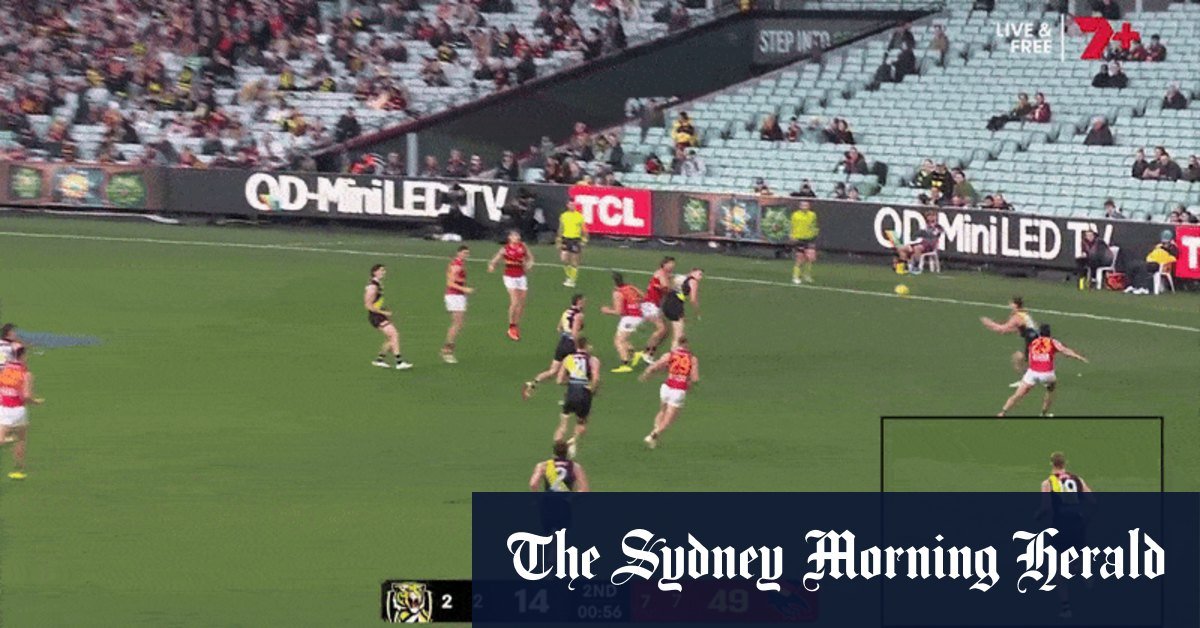 Richmond Tigers' Tom Lynch has stated to hit Jordon Butts