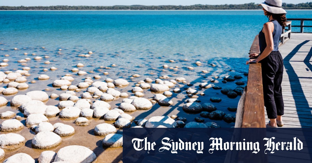 The state made new laws to protect the nature of the SA. Then she forgot something