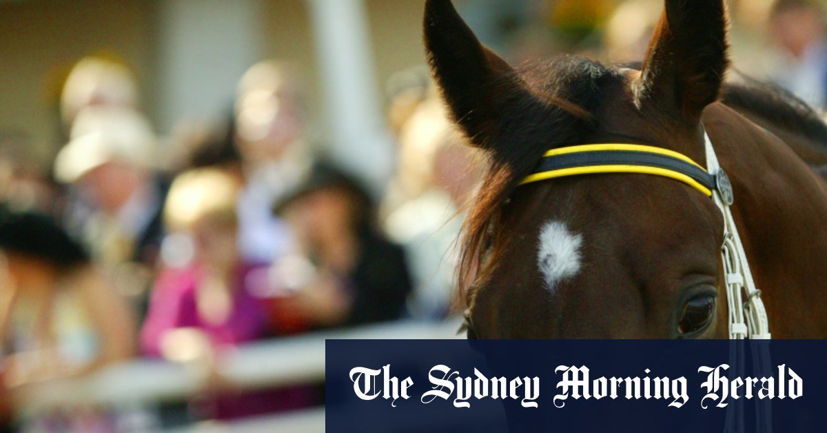 Tips and race-by-race of race per tamworth on Friday