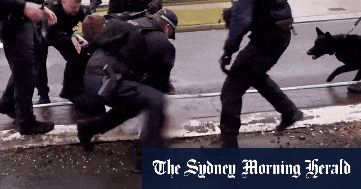 New Sydney Crime Emerges has allegedly related to the city's city feud