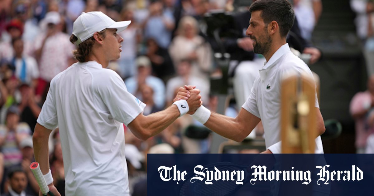 Alex de Minaur fell to Novajjic despite gutsy performance