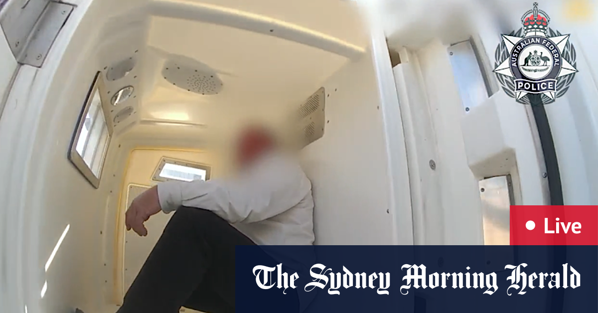The man arrested to push for the pupth flight assistant