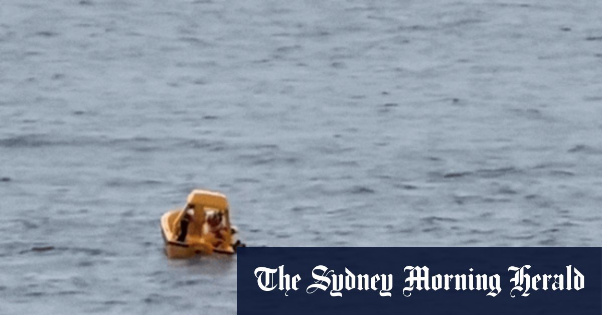 Father and girl, 5, pulled out of the water after the edge in disney ship