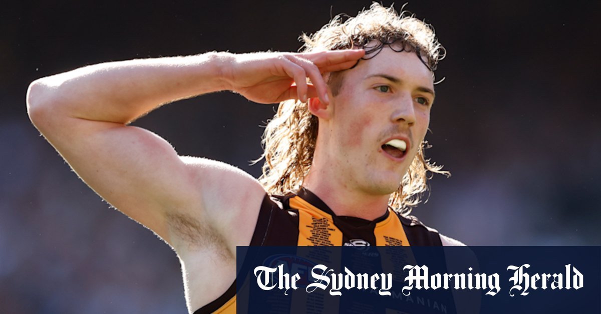 Hawthorn Hawks' Josh is looking for a stress injury