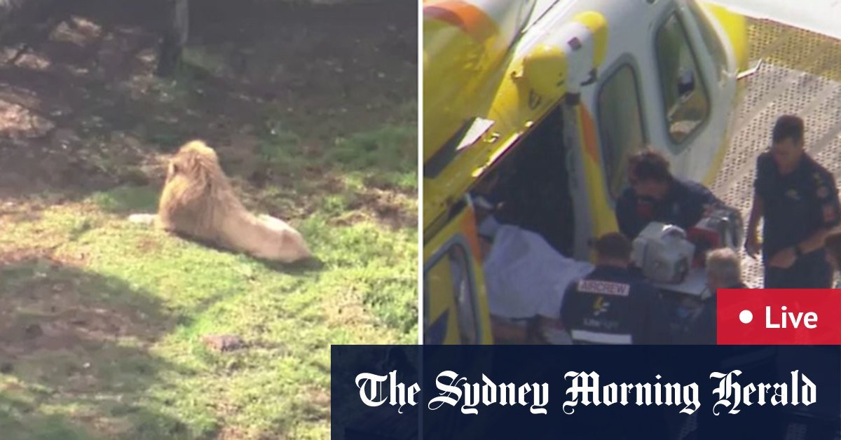 The woman loses weapons in the lion attack in Queensland Zoo; Munster to play origin after his father's death; The survey police many dead in two states