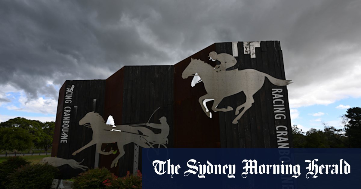 Steady handed handed to Cranbourne Racecourse after being caught by a horse