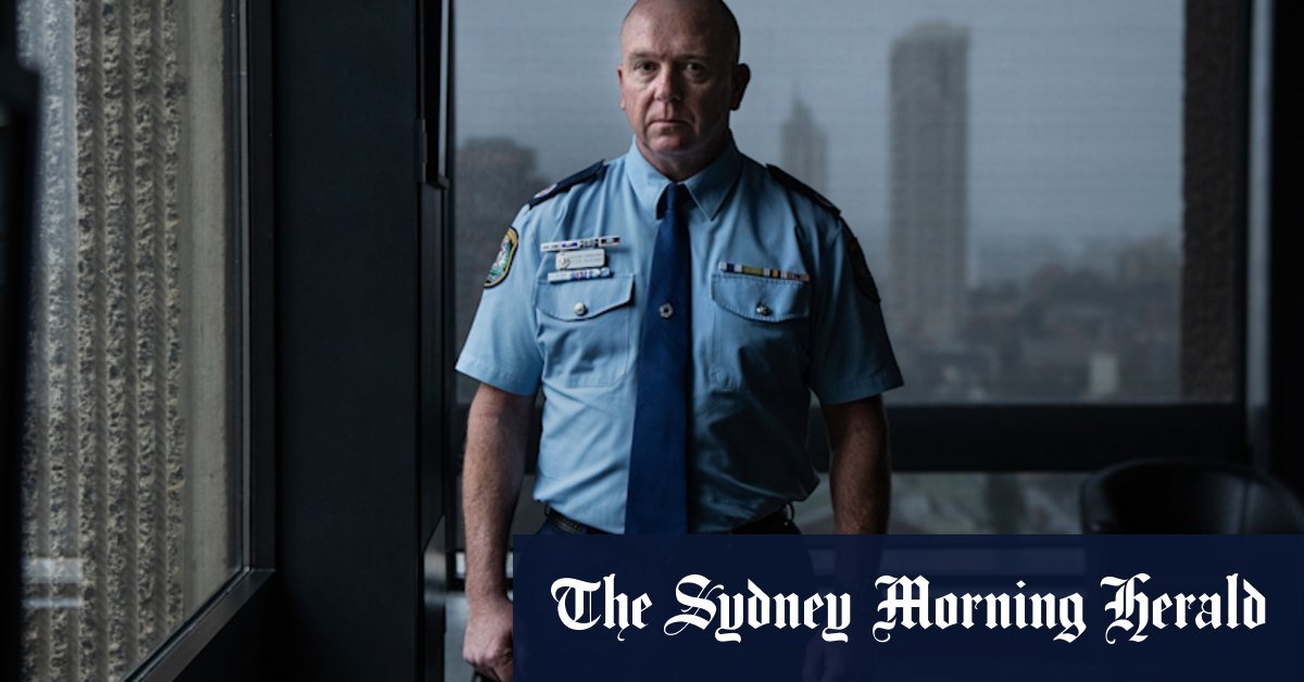 The Police Tool NSW conceived to identify victims of failed risk violence