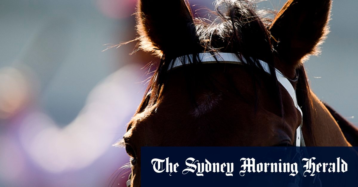 Kembly Grong Group Unveil Pair of Exciting Exciting Shipping to Moruya