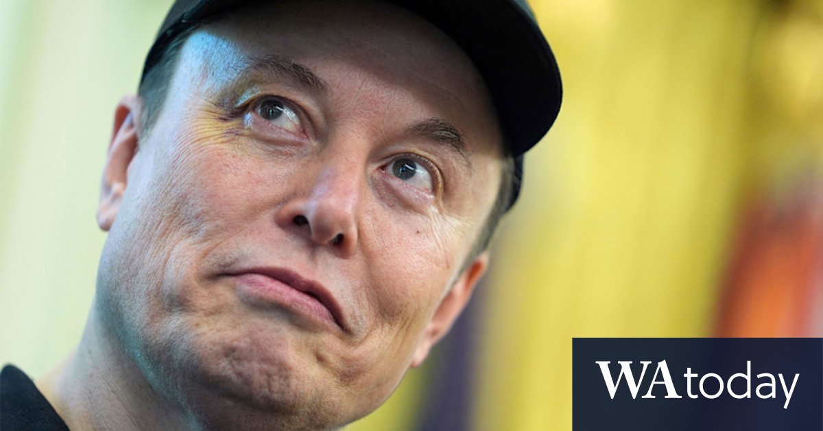 The ELON Musk-mush speech fighting to the Elon Musk fight against the commissionary espefety