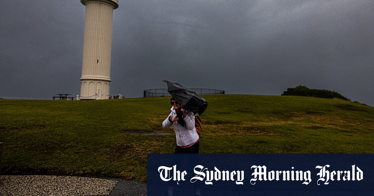 'Bomble cyclone "set of Eastern NSW NSW; flight cancellations, public transportation impacts revealed