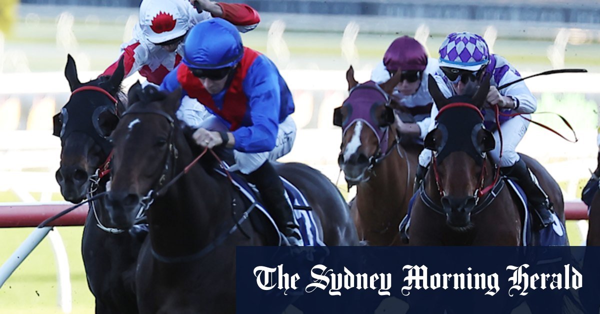 Randwick races postpone after heavy night rain
