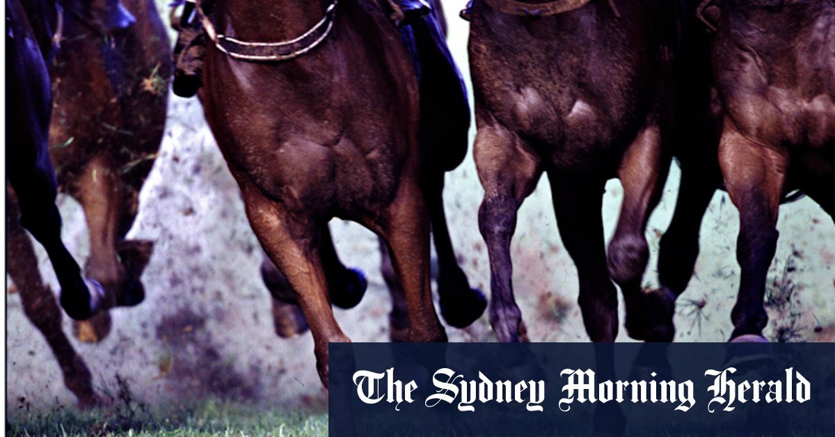 Race-by-race forecast and tips for doubt Sunday