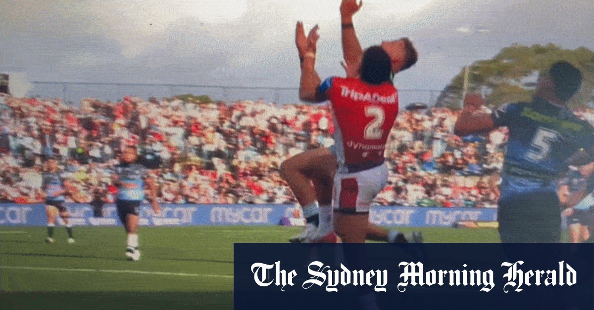 The dispute penalty traf of rogue does not hurt monger i ilowarra in cronol shark victory